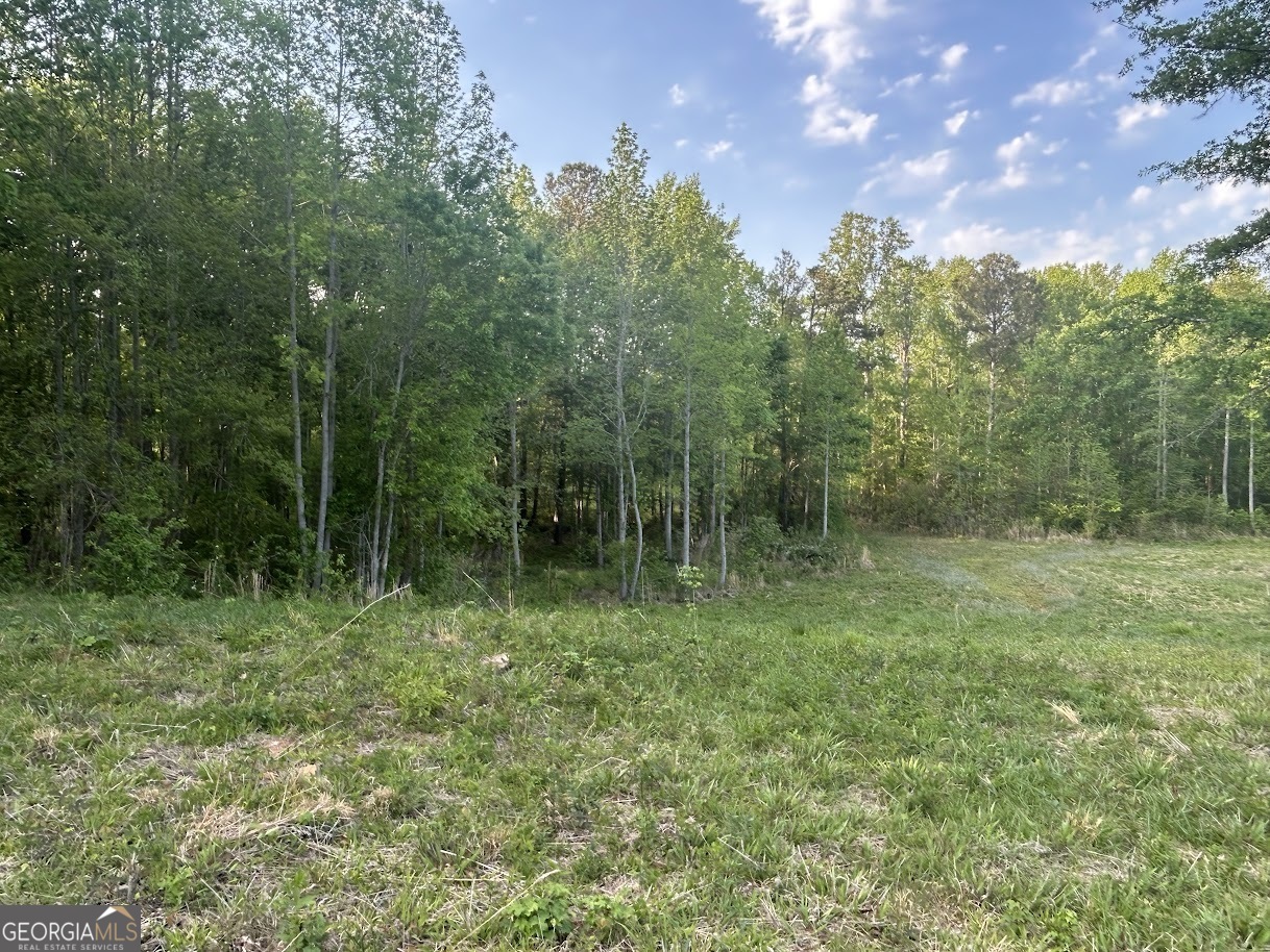 0 Needmore Road Roopville GA 30170