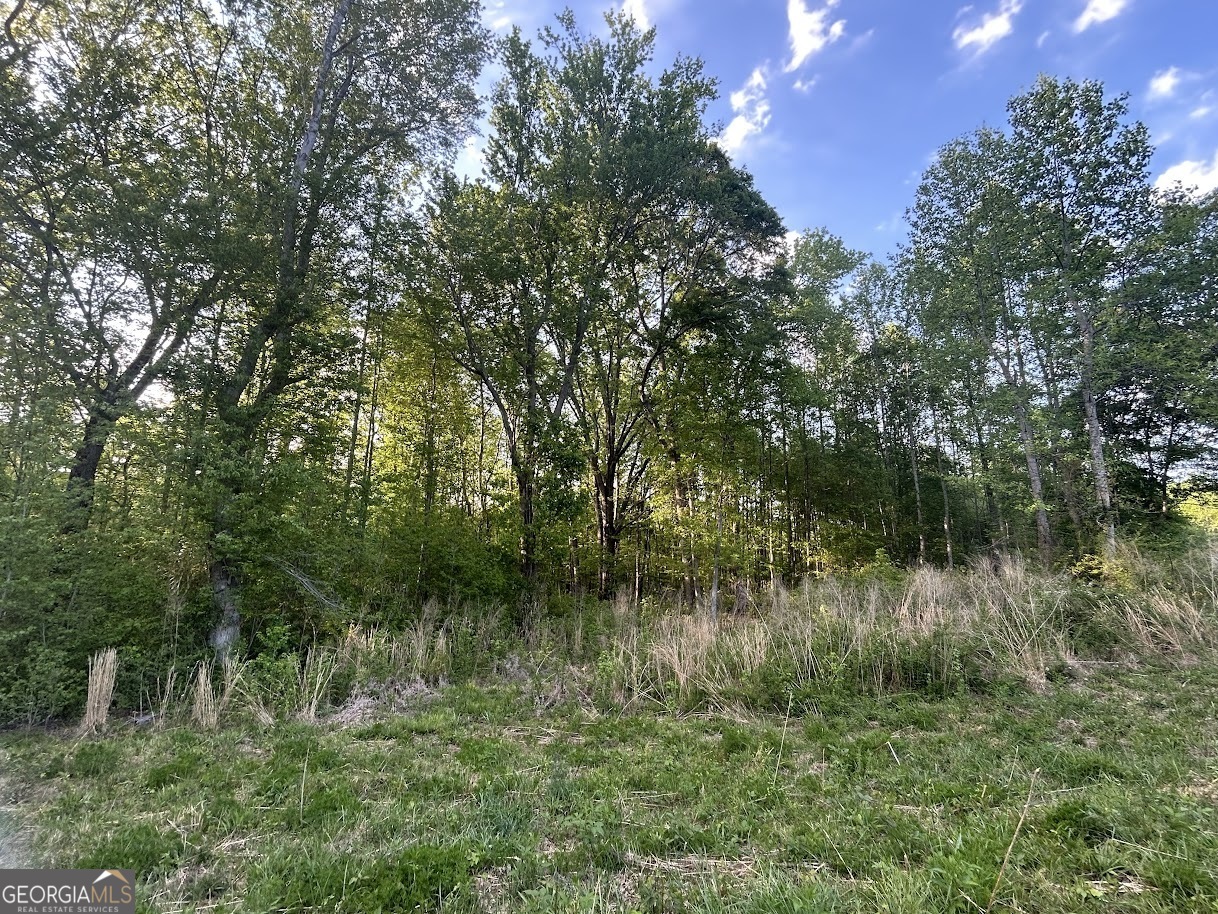 0 Needmore Road Roopville GA 30170