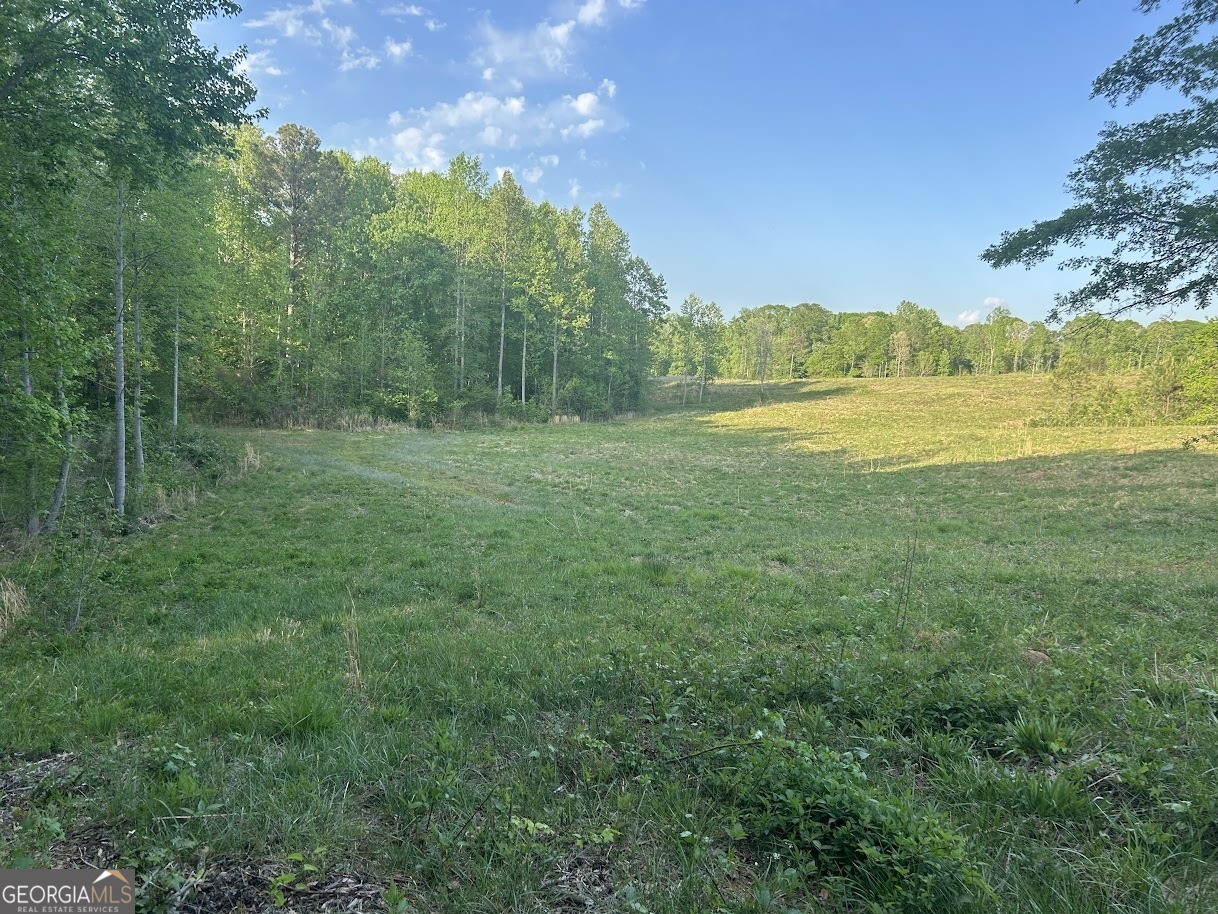 0 Needmore Road Roopville GA 30170