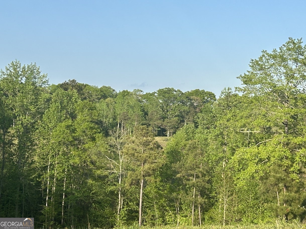 0 Needmore Road Roopville GA 30170