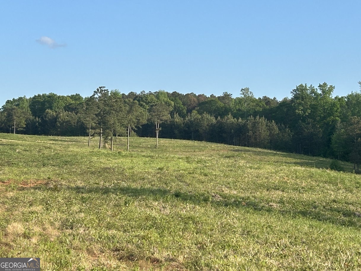 0 Needmore Road Roopville GA 30170
