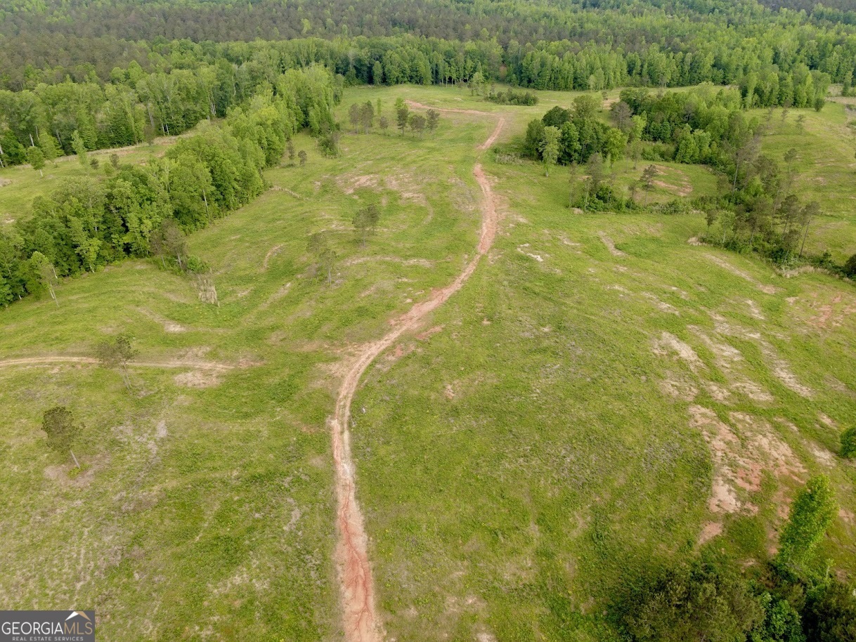 0 Needmore Road Roopville GA 30170