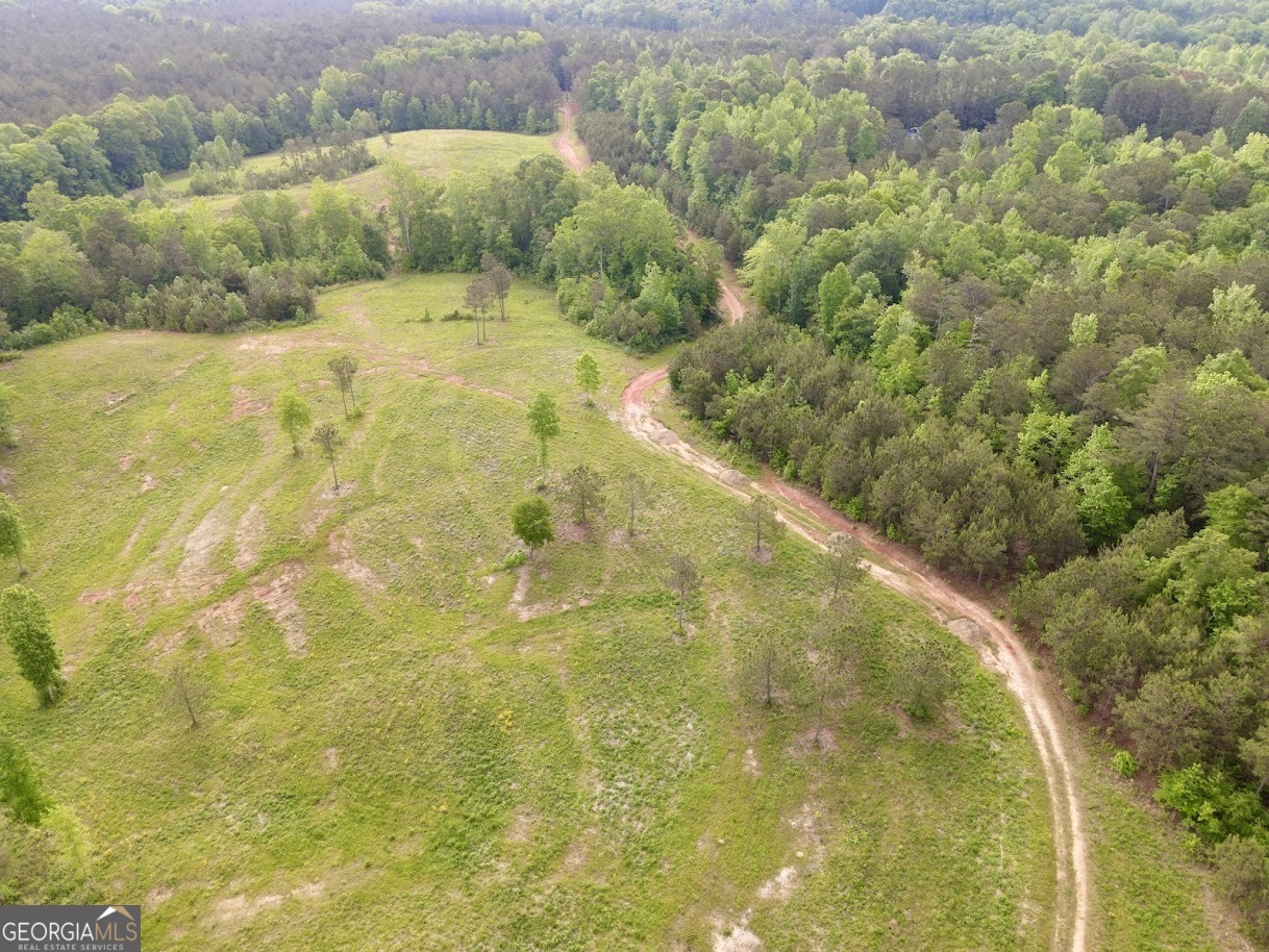 0 Needmore Road Roopville GA 30170