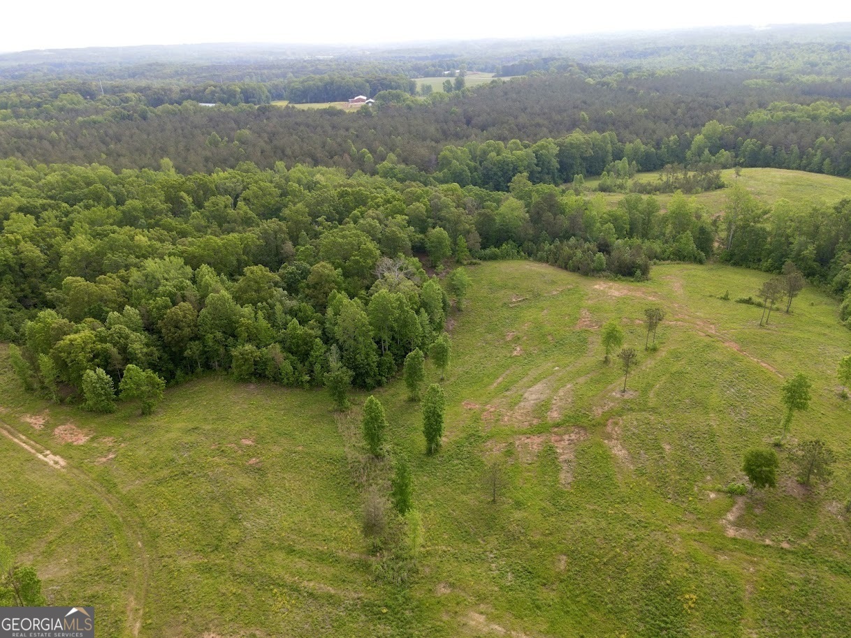 0 Needmore Road Roopville GA 30170