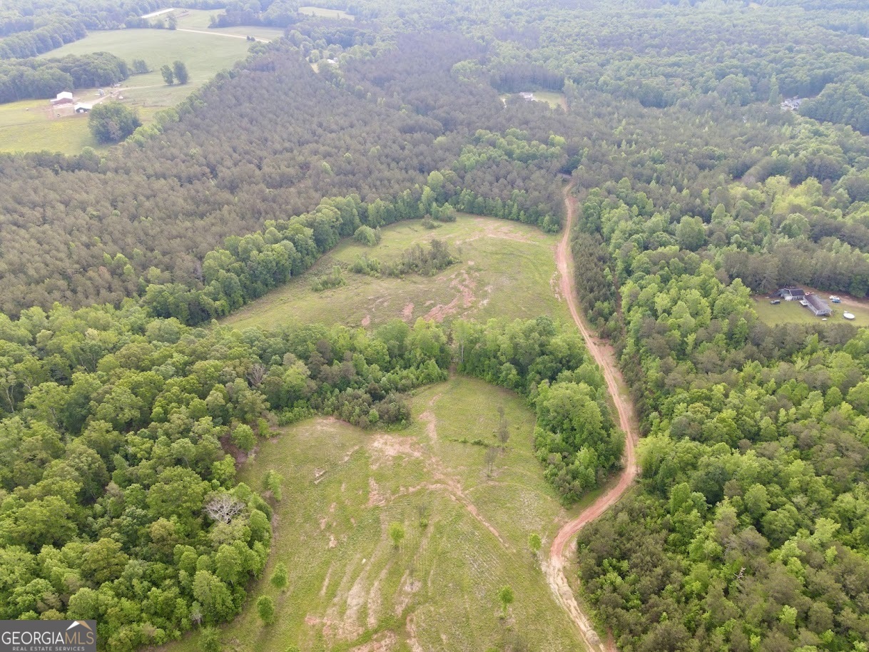 0 Needmore Road Roopville GA 30170