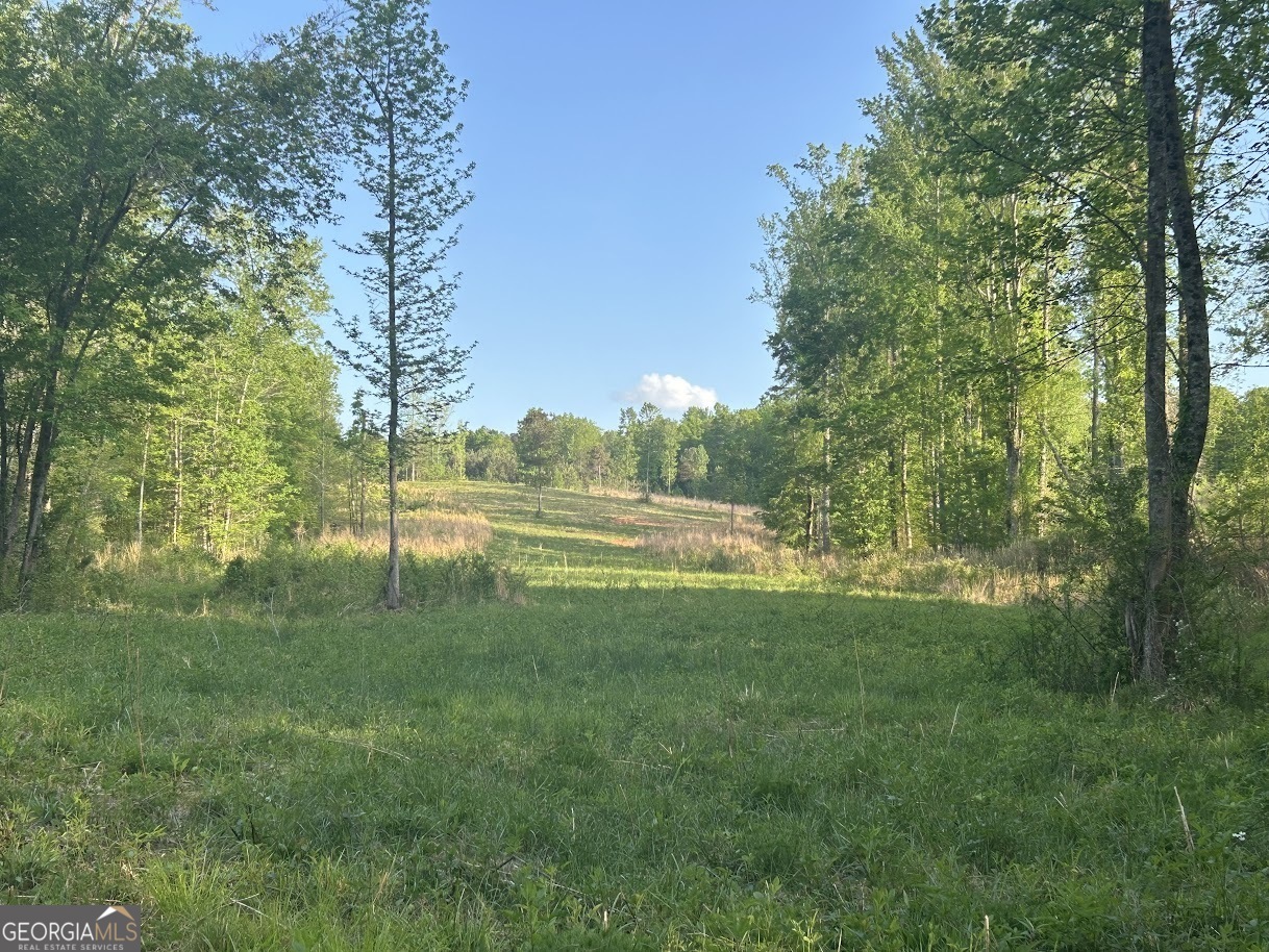 0 Needmore Road Roopville GA 30170