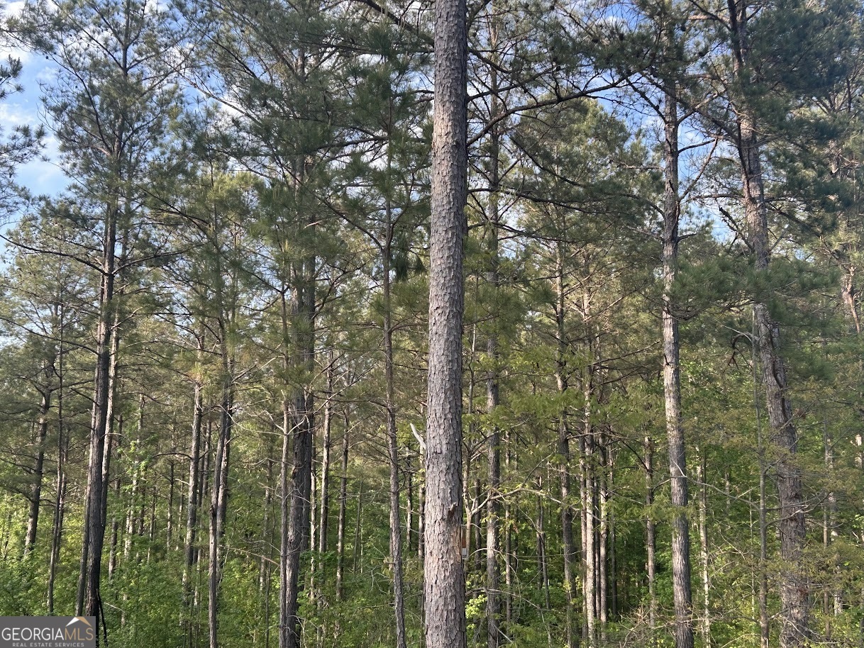 0 Needmore Road Roopville GA 30170