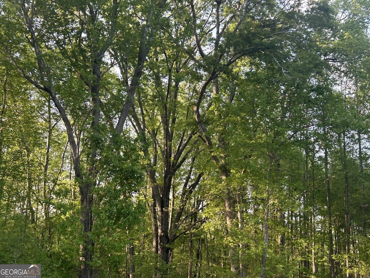 0 Needmore Road Roopville GA 30170