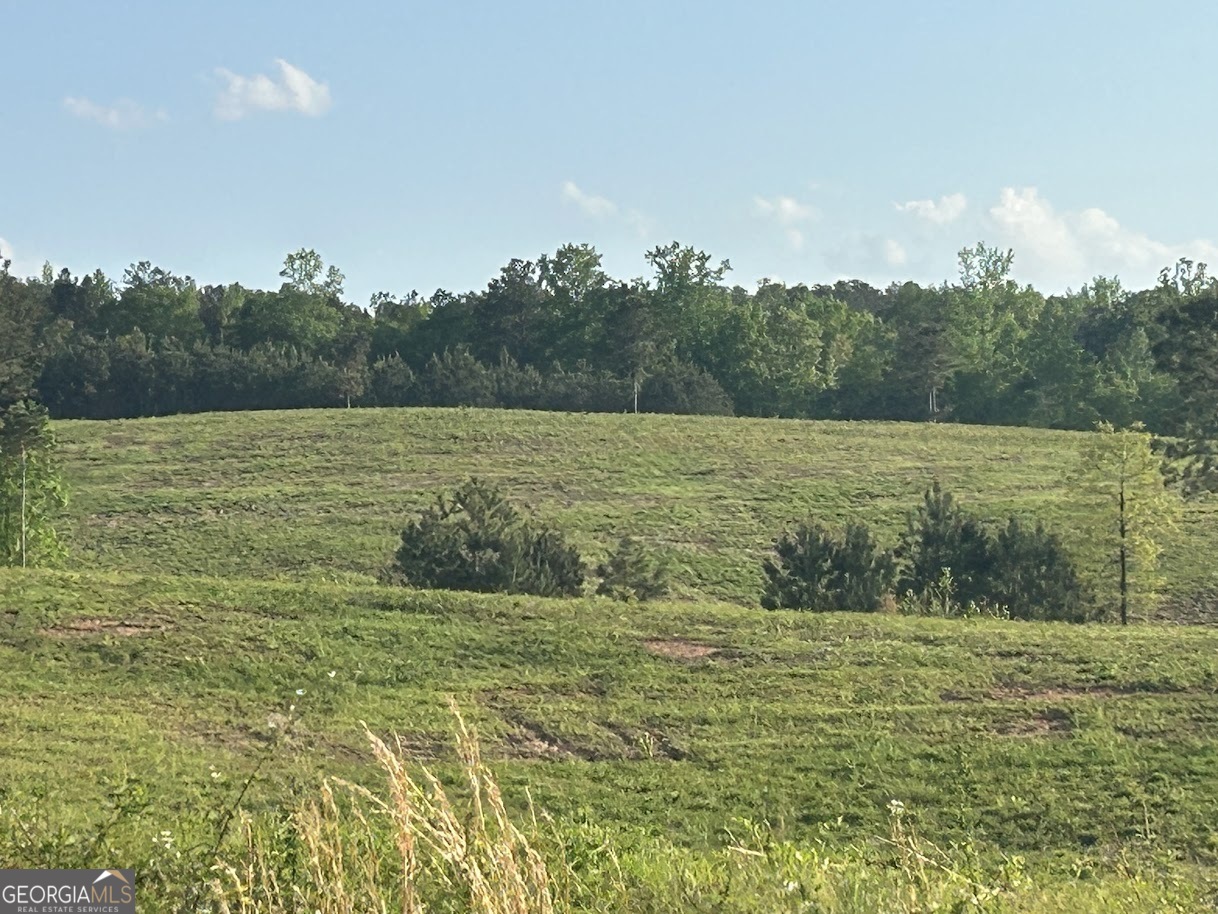 0 Needmore Road Roopville GA 30170