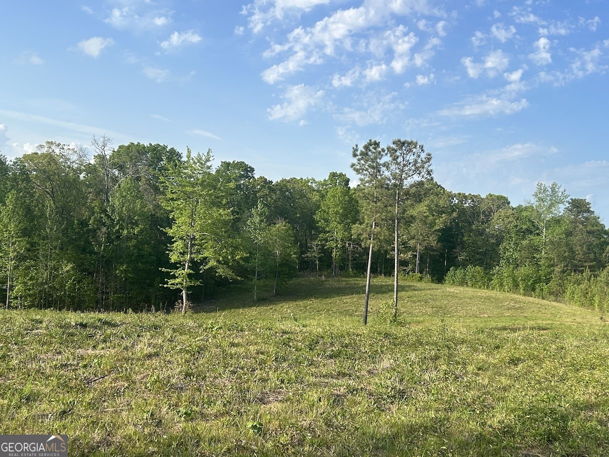 0 Needmore Road Roopville GA 30170