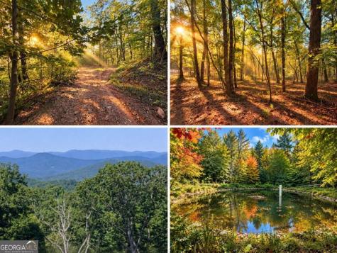 14.06 Old Burnt Mountain Road Ellijay GA 30536