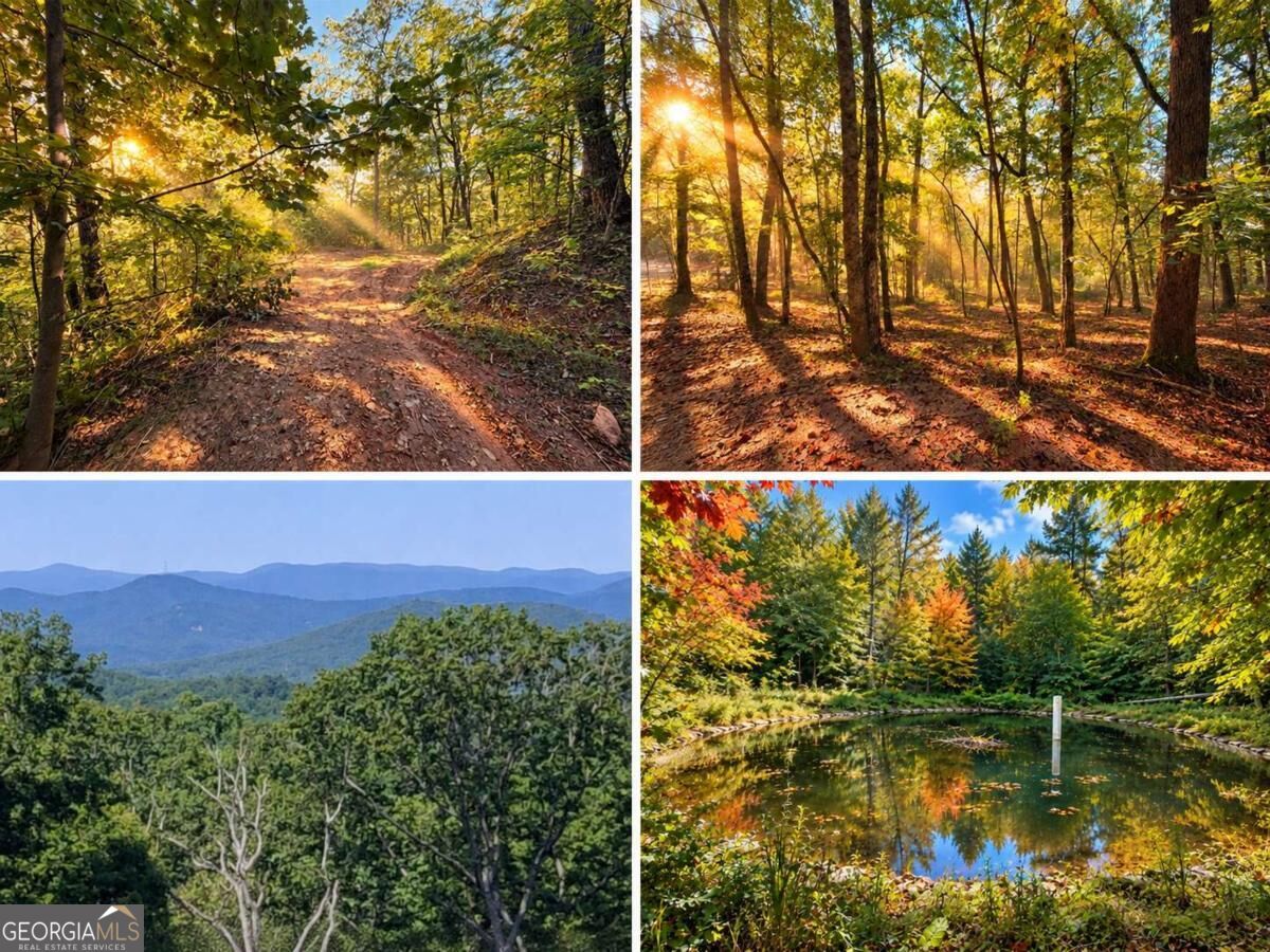 14.06 Old Burnt Mountain Road Ellijay GA 30536