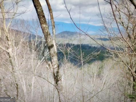 14.06 Old Burnt Mountain Road Ellijay GA 30536