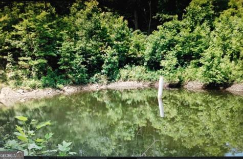 14.06 Old Burnt Mountain Road Ellijay GA 30536