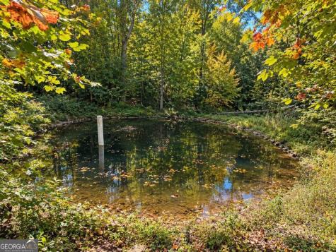 14.06 Old Burnt Mountain Road Ellijay GA 30536