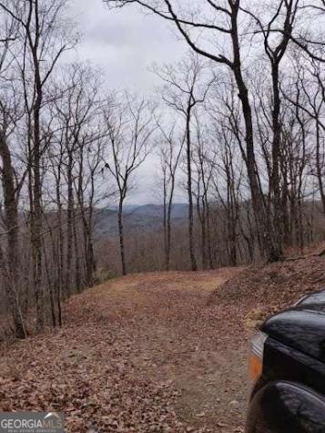 14.06 Old Burnt Mountain Road Ellijay GA 30536