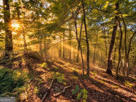 14.06 Old Burnt Mountain Road Ellijay GA 30536