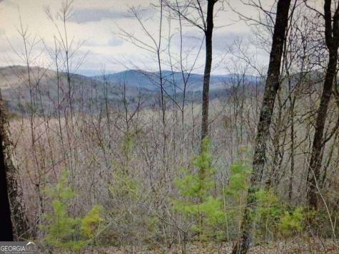 14.06 Old Burnt Mountain Road Ellijay GA 30536