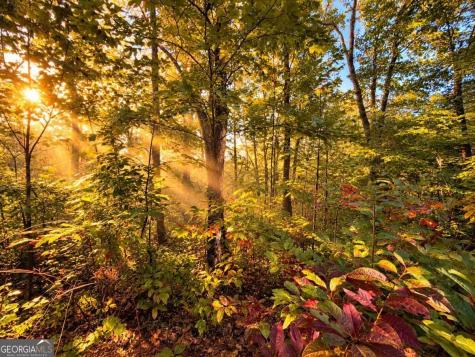 14.06 Old Burnt Mountain Road Ellijay GA 30536