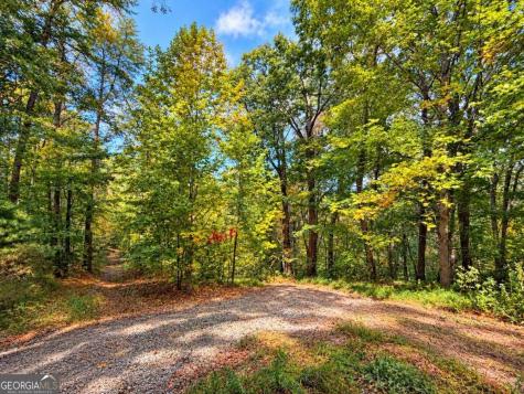 14.06 Old Burnt Mountain Road Ellijay GA 30536