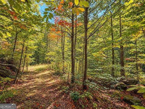 14.06 Old Burnt Mountain Road Ellijay GA 30536
