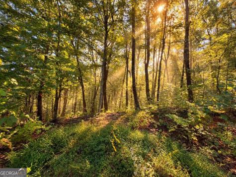 14.06 Old Burnt Mountain Road Ellijay GA 30536