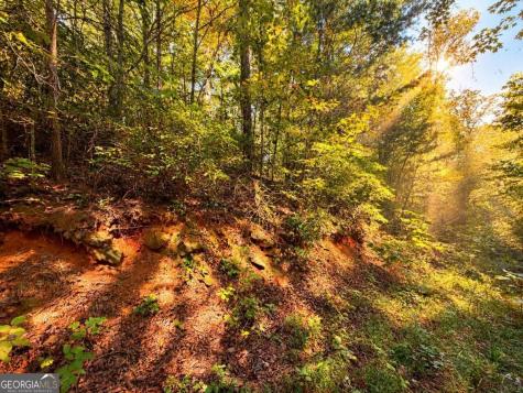 14.06 Old Burnt Mountain Road Ellijay GA 30536