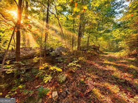 14.06 Old Burnt Mountain Road Ellijay GA 30536