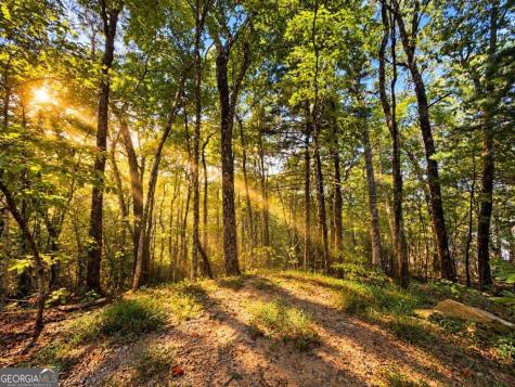14.06 Old Burnt Mountain Road Ellijay GA 30536