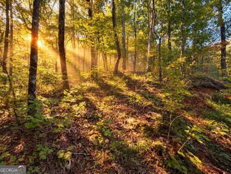 14.06 Old Burnt Mountain Road Ellijay GA 30536