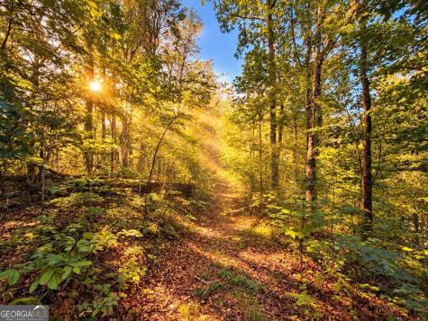 14.06 Old Burnt Mountain Road Ellijay GA 30536