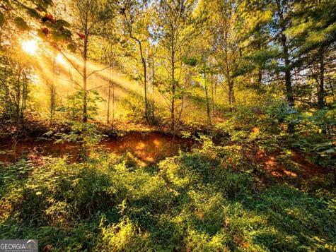 14.06 Old Burnt Mountain Road Ellijay GA 30536