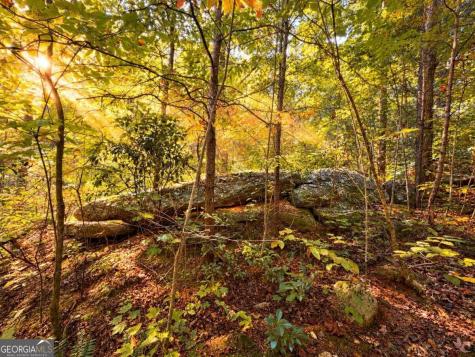 14.06 Old Burnt Mountain Road Ellijay GA 30536
