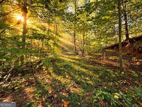 14.06 Old Burnt Mountain Road Ellijay GA 30536
