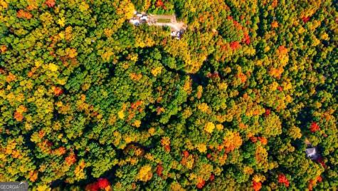 14.06 Old Burnt Mountain Road Ellijay GA 30536