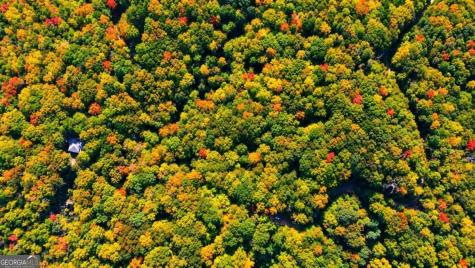14.06 Old Burnt Mountain Road Ellijay GA 30536