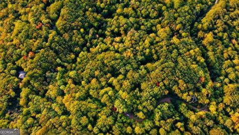 14.06 Old Burnt Mountain Road Ellijay GA 30536