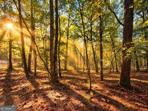 14.06 Old Burnt Mountain Road Ellijay GA 30536