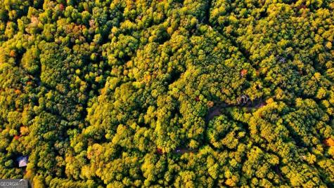 14.06 Old Burnt Mountain Road Ellijay GA 30536