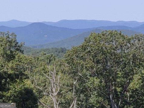 14.06 Old Burnt Mountain Road Ellijay GA 30536