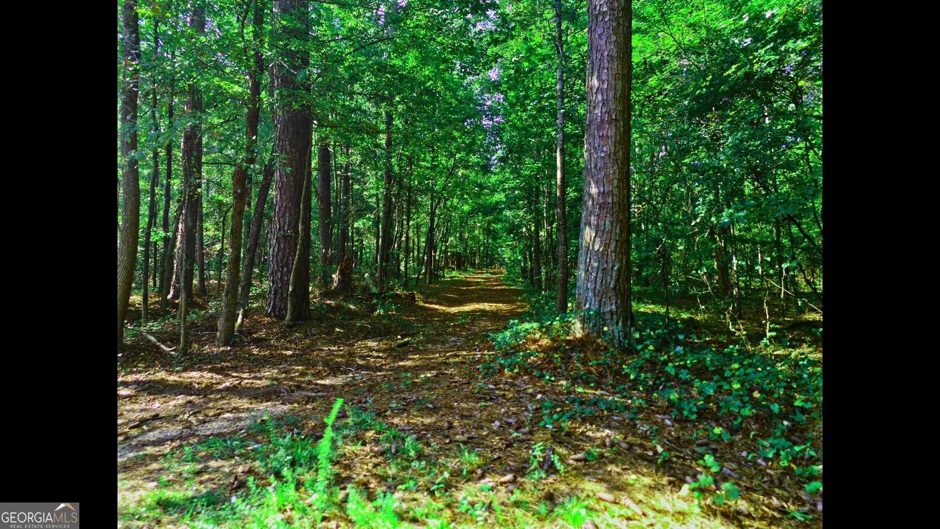 0 Huckaby Road Brooks GA 30205