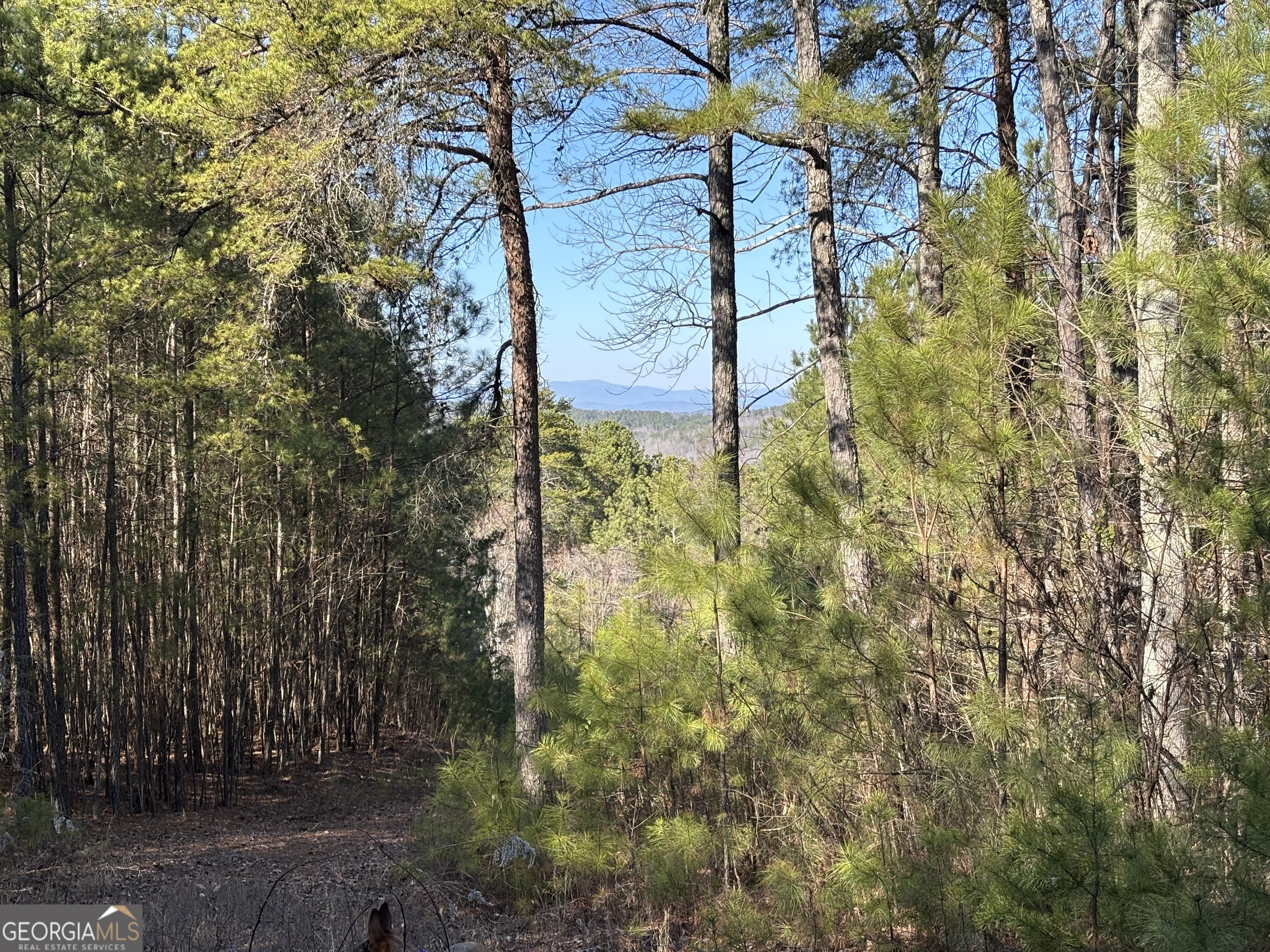 3 West Dry Pond Road Ranger GA 30734