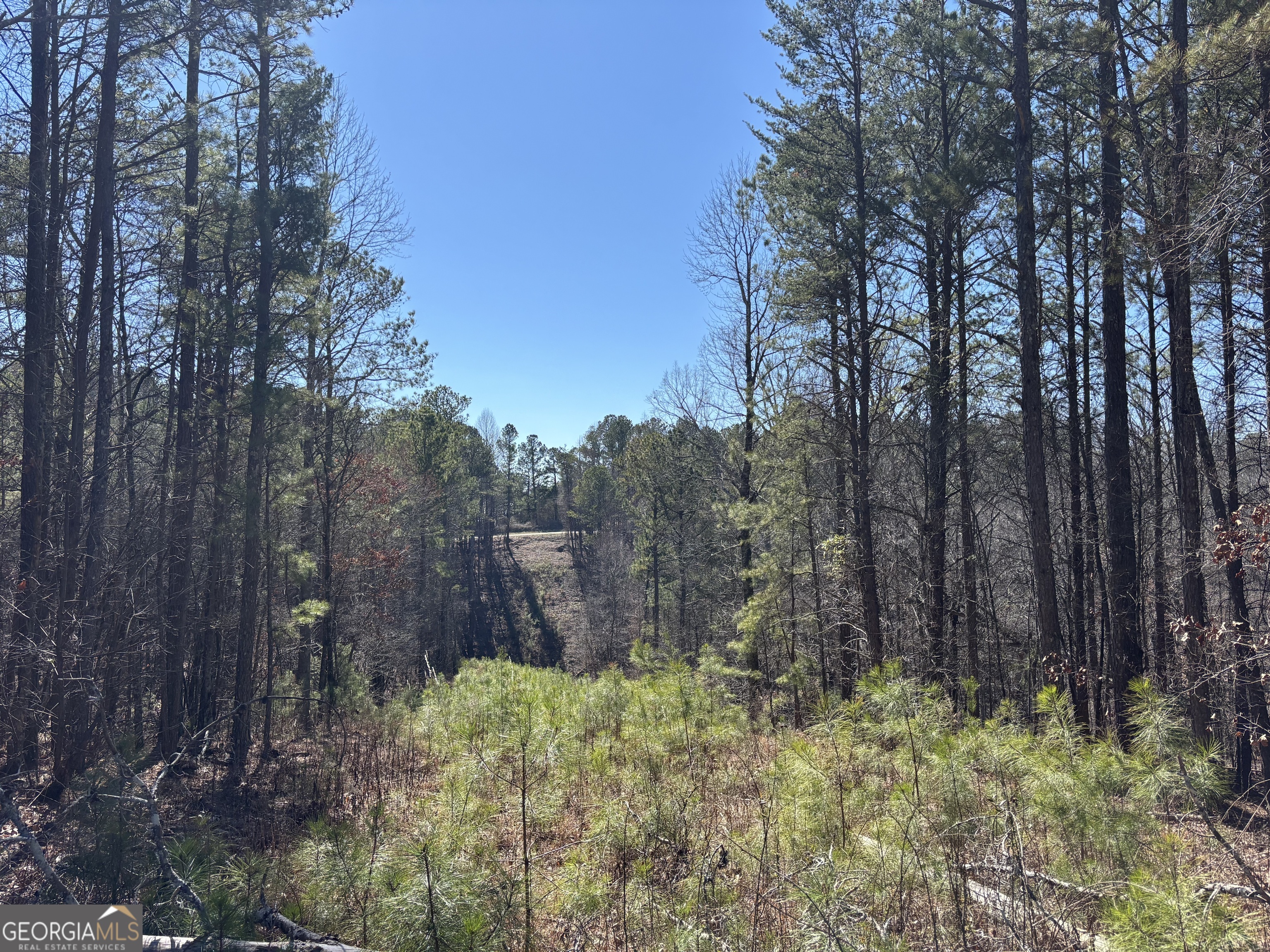 3 West Dry Pond Road Ranger GA 30734