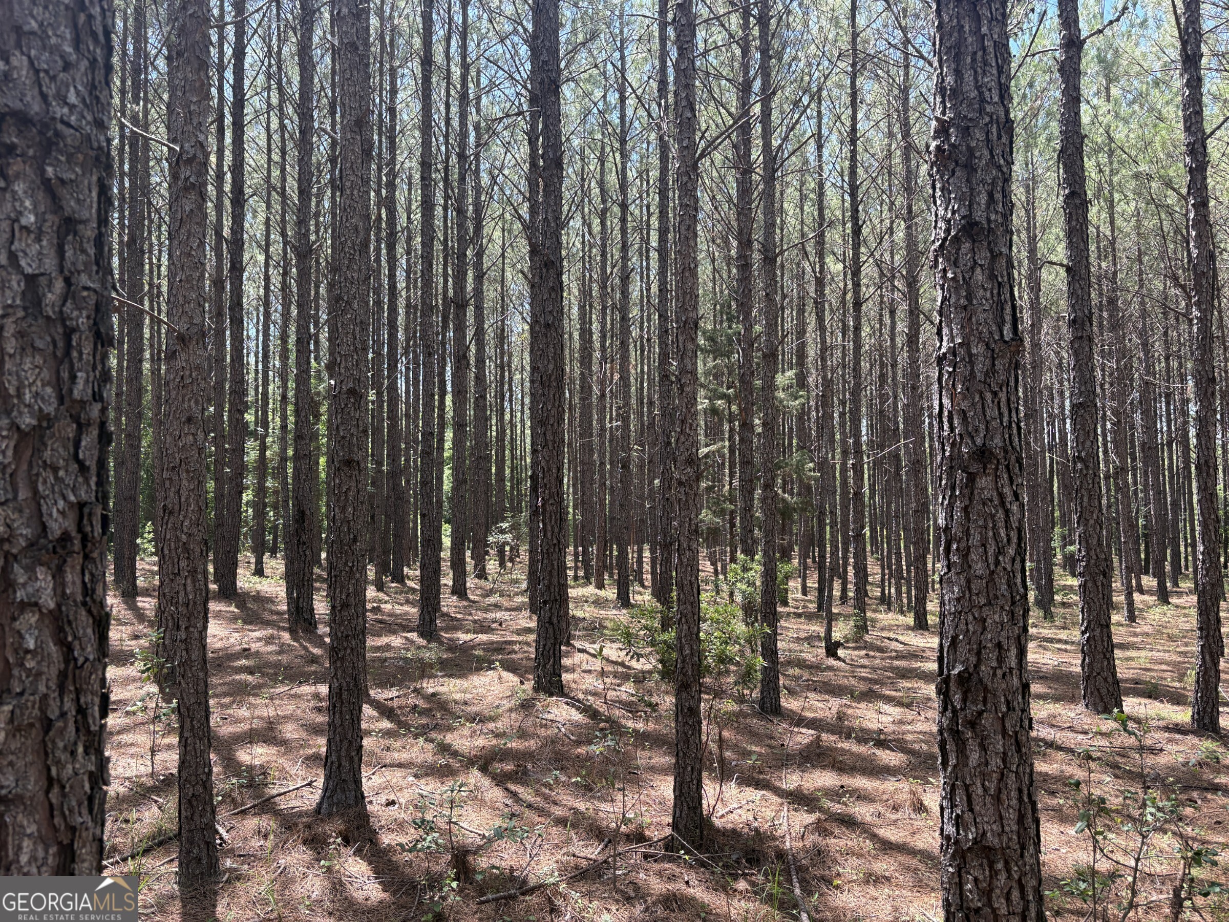 0 Wriley Road Mcintyre GA 31054