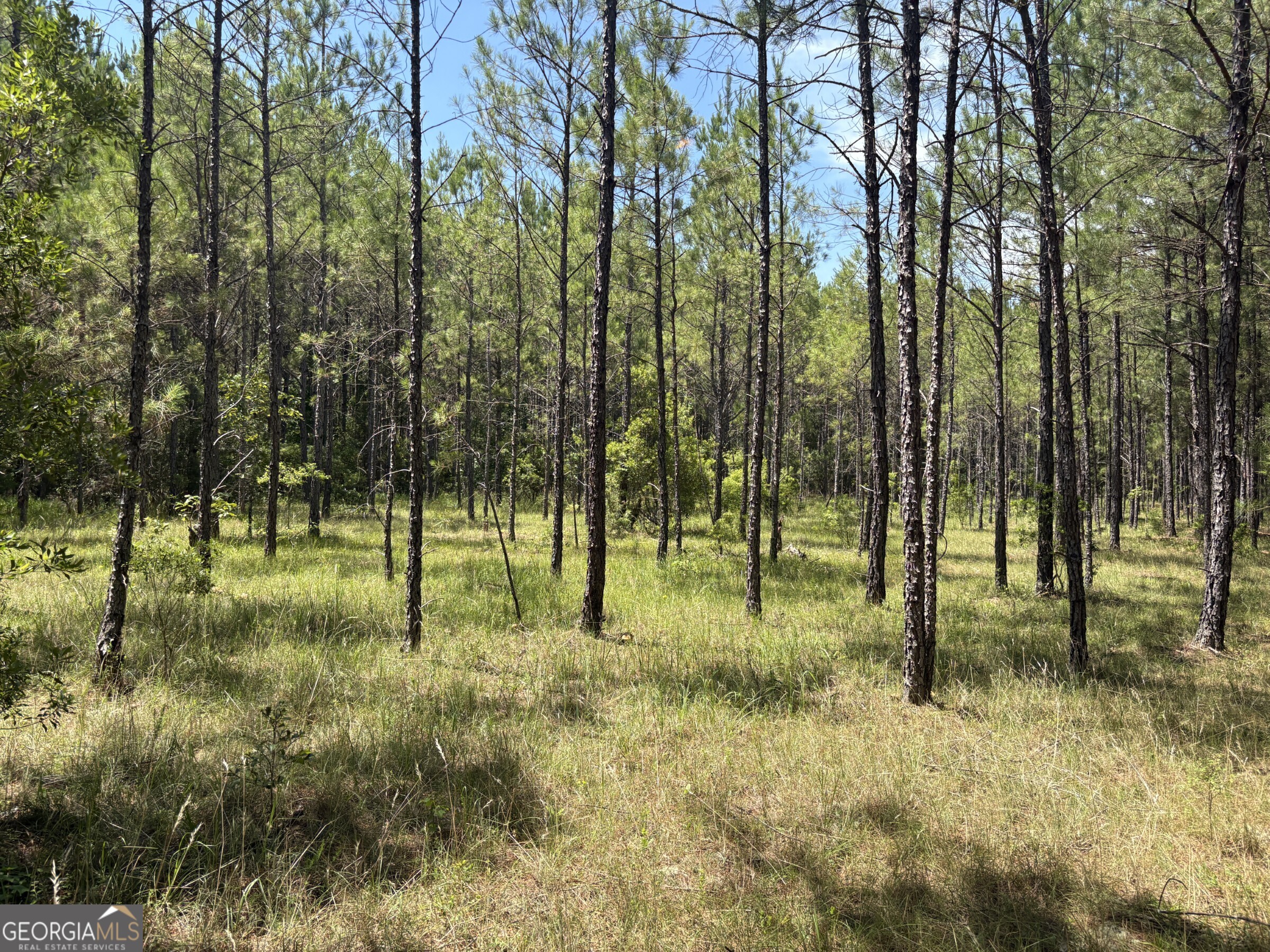 0 Wriley Road Mcintyre GA 31054