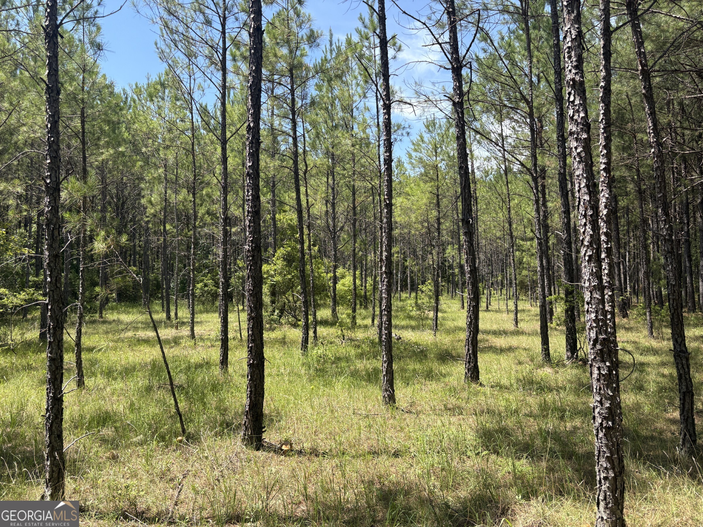 0 Wriley Road Mcintyre GA 31054