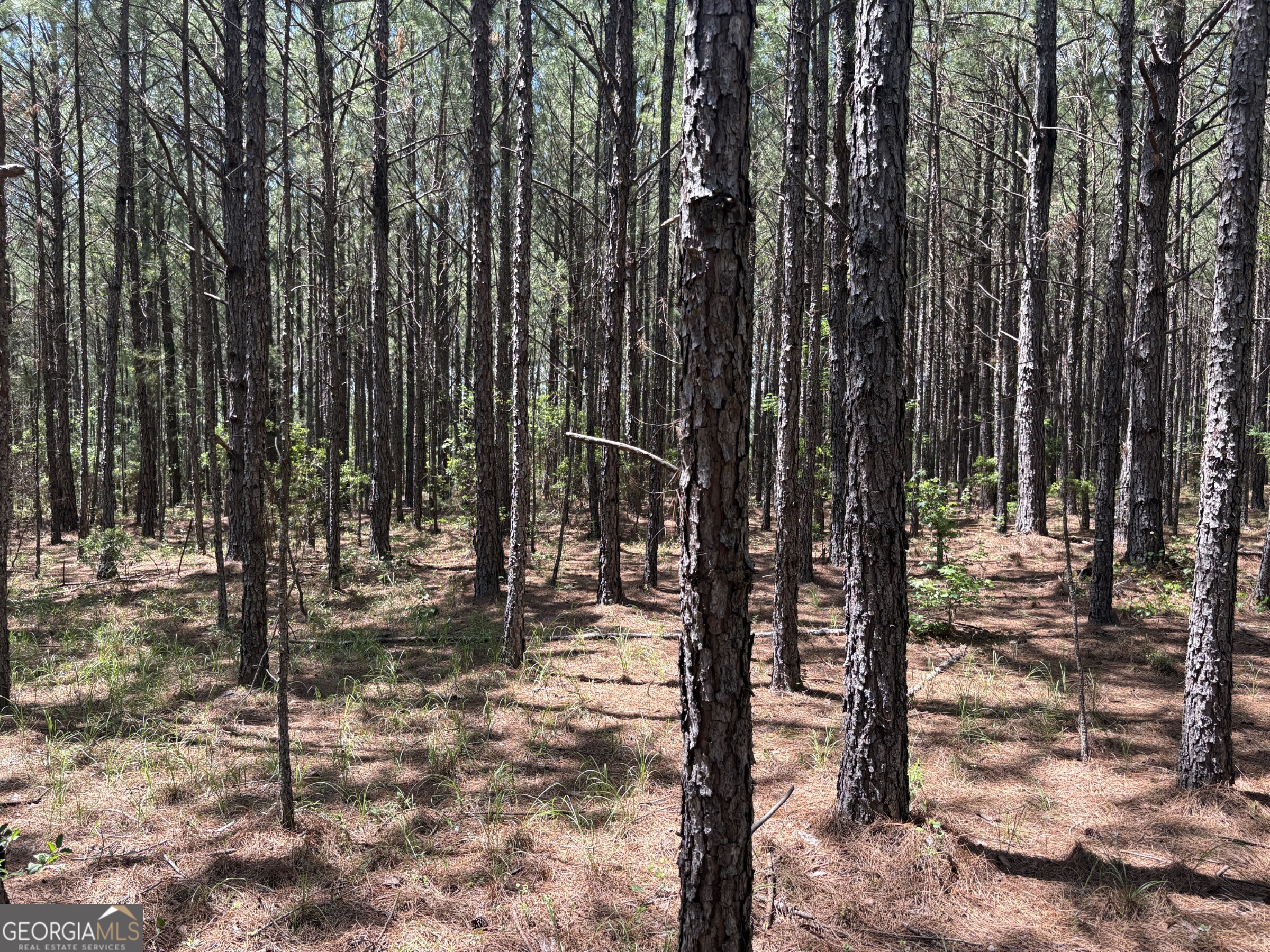 0 Wriley Road Mcintyre GA 31054