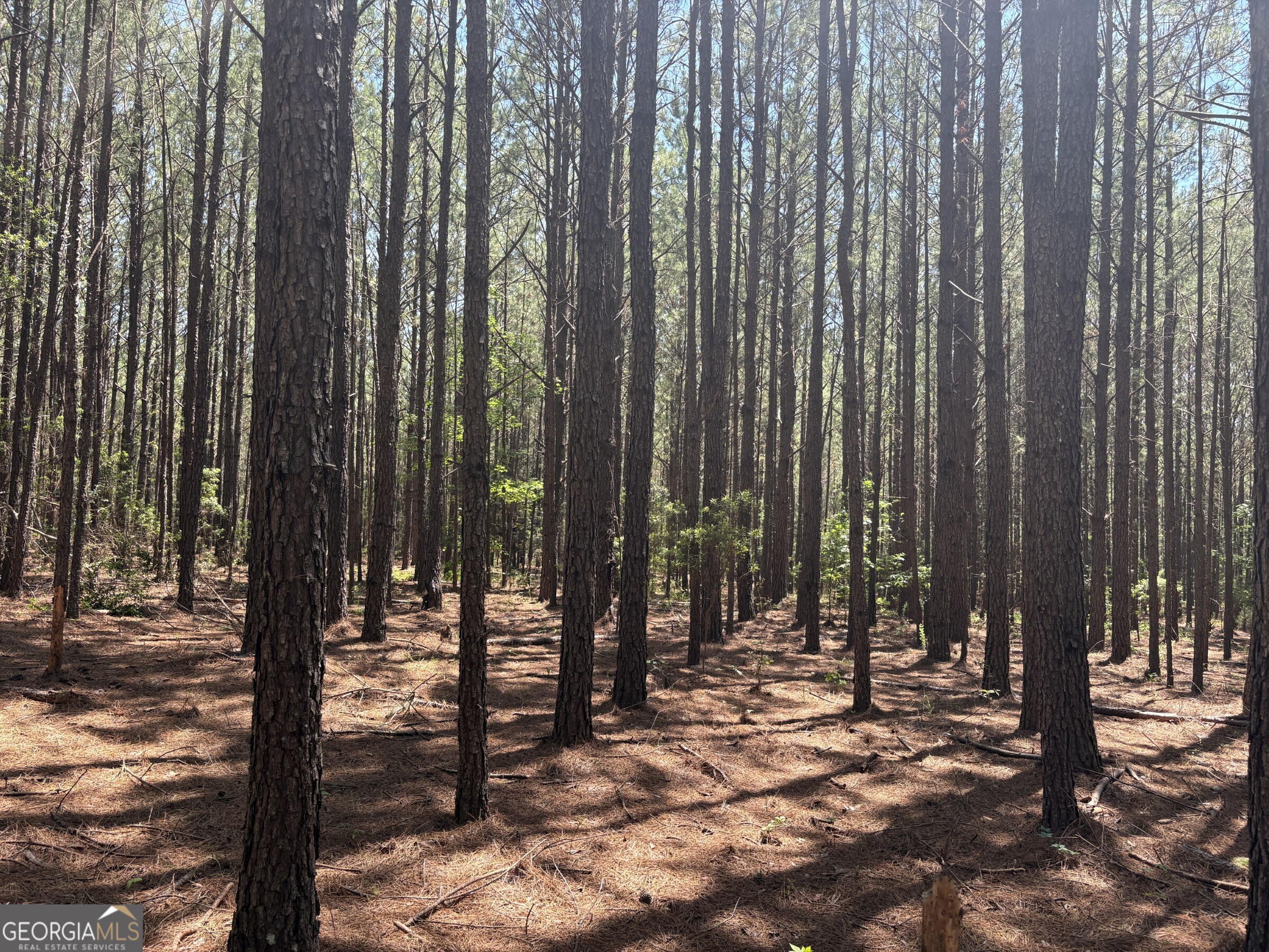 0 Wriley Road Mcintyre GA 31054