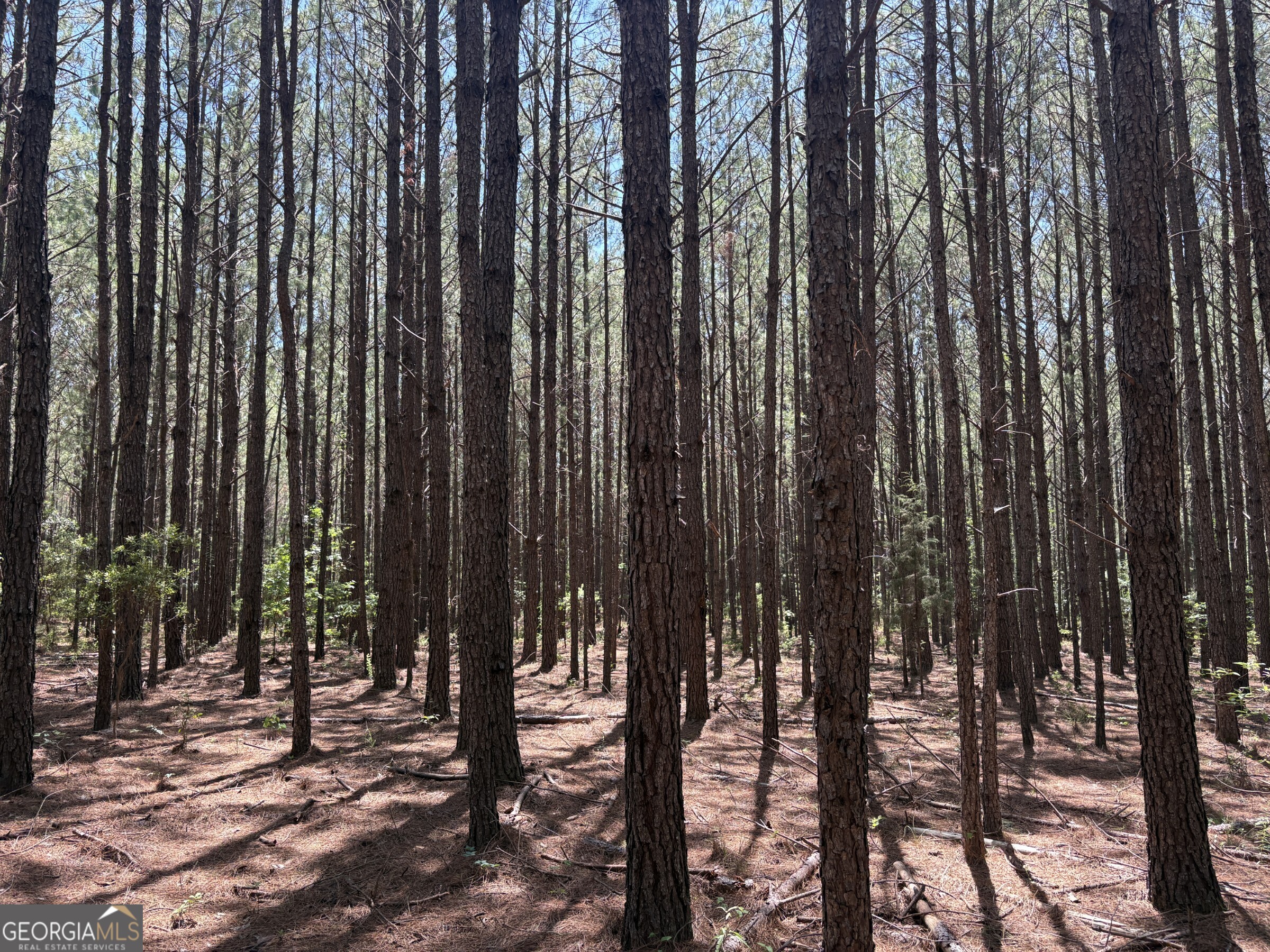 0 Wriley Road Mcintyre GA 31054