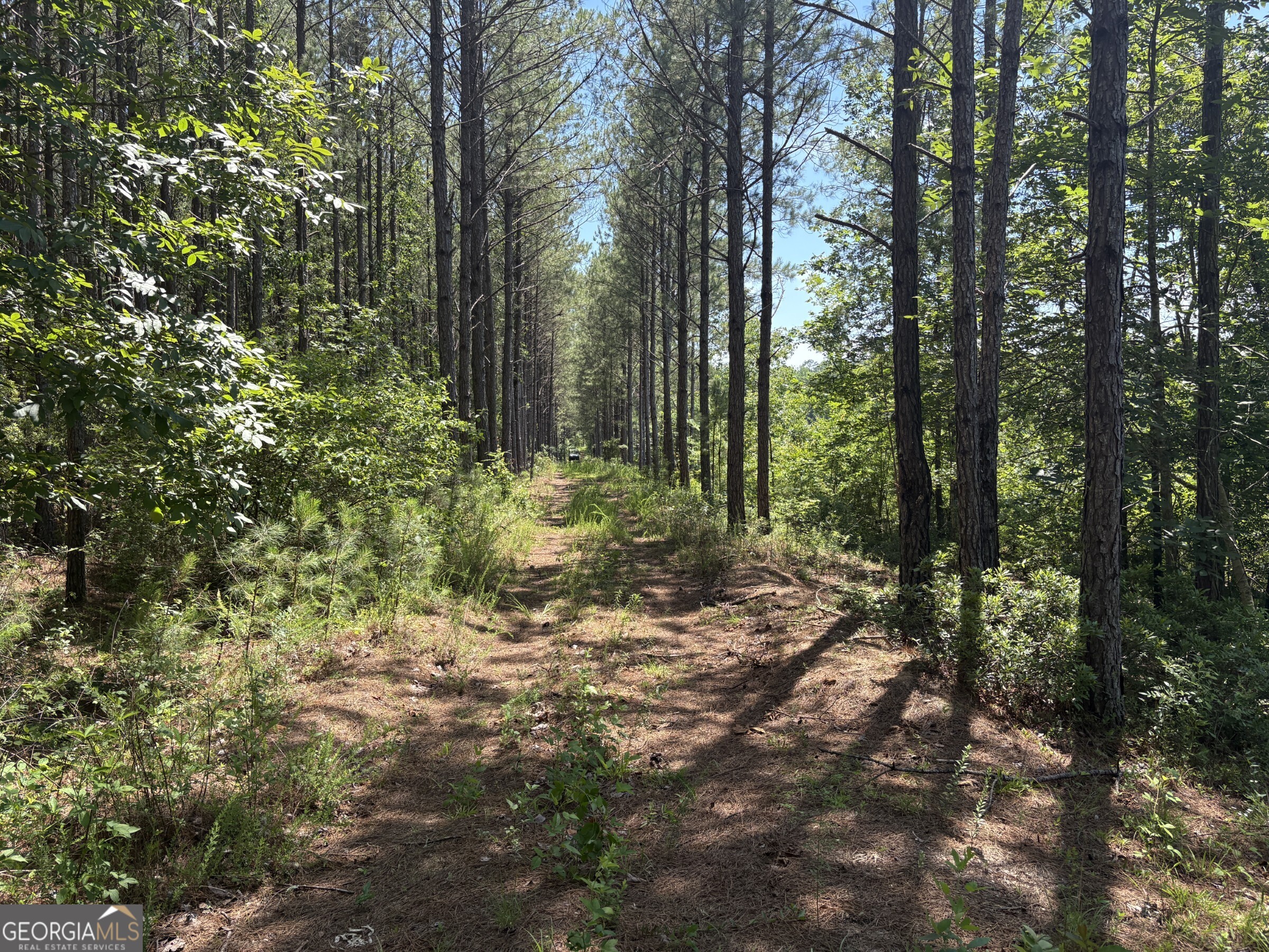 0 Wriley Road Mcintyre GA 31054